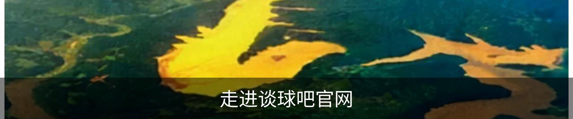 走进谈球吧官网